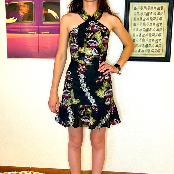 Embroidered Anthropologie Cocktail Dress - Picture 2 of 4